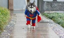 qq超级搞笑说说