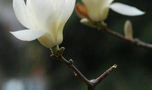 星期五短信问候语