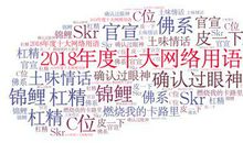 2018经典网络用语