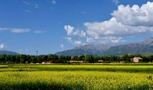 美容院夏天发给顾客的问候短信