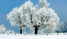 描写冬天优美的诗句