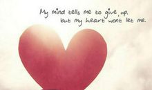 有关爱心的谚语