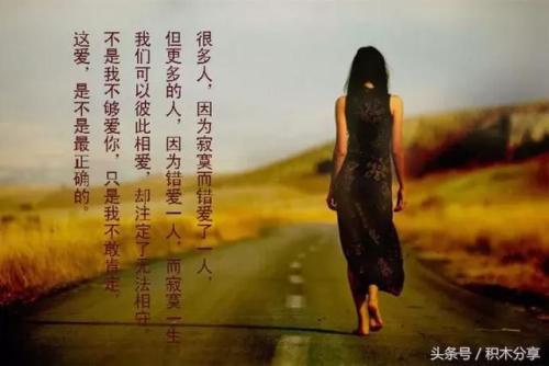 我没有情人