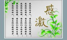 对老师的感谢