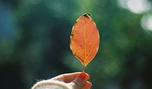 两个人长时间不见面适合发的说说