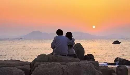 树想安静
