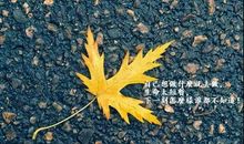 安安静静的说说