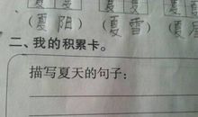 描写夏天的句子20字