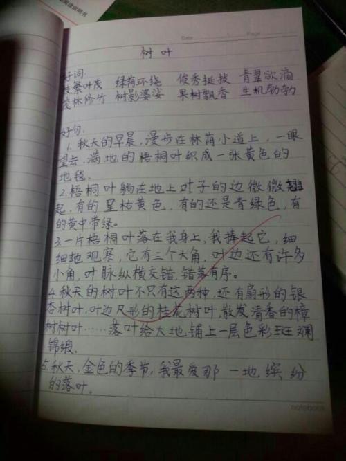   好话语  1