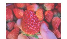 关于描写美食的句子