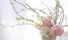 感恩社会 快乐成长的句子