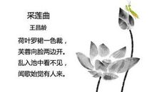 描写荷花诗句古诗