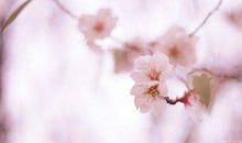 追一个女孩问候短信