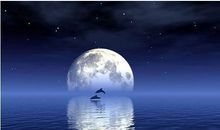 描写月亮的诗句大全