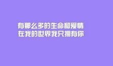 表示对爱情无奈的句子