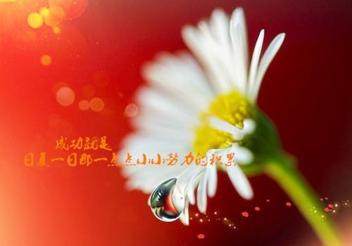 努力是一个人非常重要的习惯