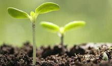 快乐成长的句子