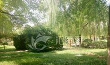 大学校园环境描写