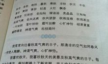 关于写人的好词好句