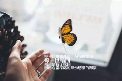 他总是很着急