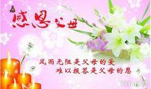 感恩父母的一段话