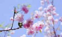 新的一天开始精美语句、配图