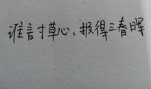 赞美母爱的优美句子