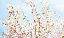 消极悲观的句子