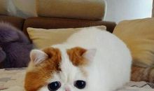 幽默长笑话,内涵幽默长段子