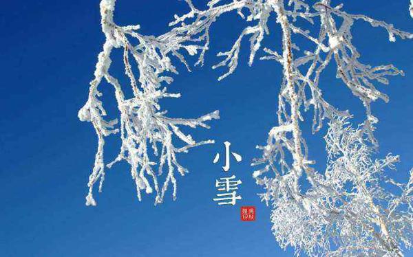  “小雪”  唐代书伦 花雪不看风