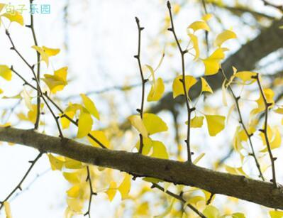 没有人可以回到过去并重新开始