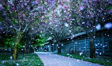 不再为难自己的说说