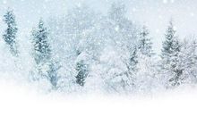 描写雪的句子大全