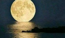 描写圆月的好段