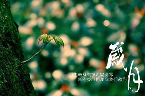    年是美丽的