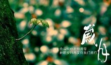 岁月蹉跎，光阴荏苒的唯美句子