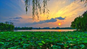   春天场景的诗  1