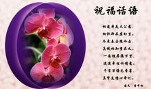 祝福女性朋友的话语