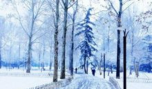雪的句子大全