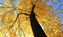 发给领导的问候短信