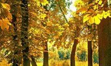 五一节给老师问候短信