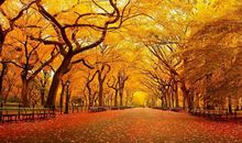 周末突然转凉短信问候客户