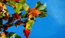 冬天的问候叔叔短信