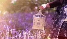 委屈到心碎的句子