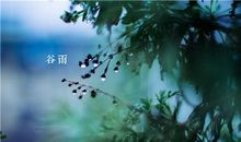 借雨抒情的诗句