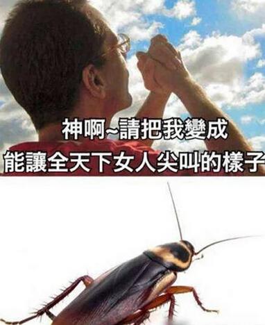 最受虐狂的事情是等待70秒以上的广告