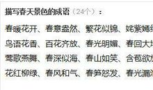 描写雪的四字成语