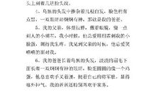 描写爸爸神态的句子