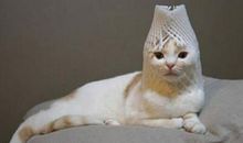 无厘头的句子，无厘头的搞笑说说