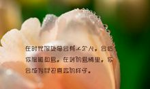 描写内心平静的句子